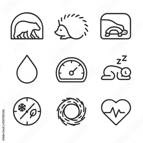 Dormancy Strategy Icons. Outline icon set of hibernation and dormancy strategies: bear in den silhouette, hedgehog curled up,
