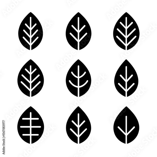 Leaf Vein Patterns. Solid, filled icon set of leaf vein patterns: parallel veins, pinnate veins, palmate veins, reticulate veins,