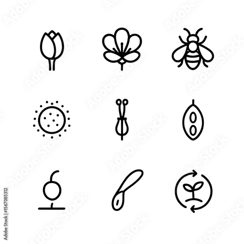 Floral Lifecycle Icons. Outline icon set of root development and nutrient uptake: root network, soil layers, water absorption drop