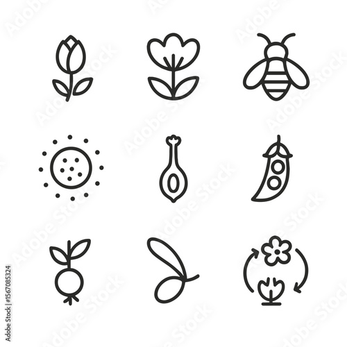 Floral Lifecycle Icons. Outline icon set of flowering and reproduction: flower bud, open blossom, pollinator insect, pollen grain,