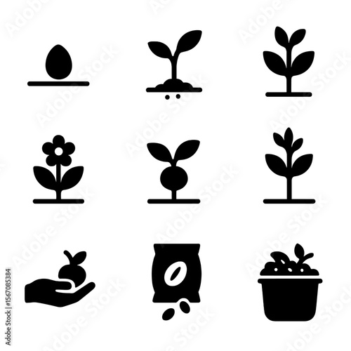 Garden Growth Icons. Solid, filled icon set of garden growth stages: seed, sprout, young plant, flowering, fruiting, mature plant,