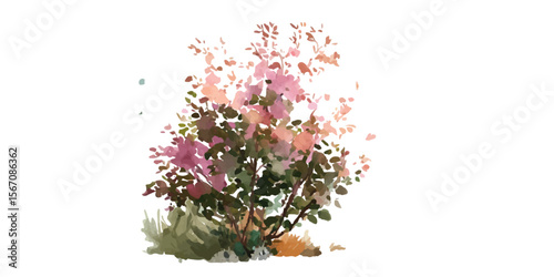 statice flower bouquet on white background. Cherry blossom flower isolated on white background
