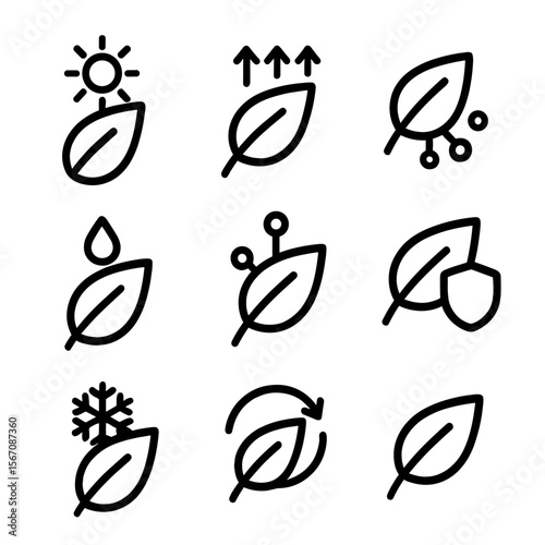 Leaf Functions Icons. Solid, filled icon set of leaf functions: photosynthesis, transpiration, gas exchange, water transport,