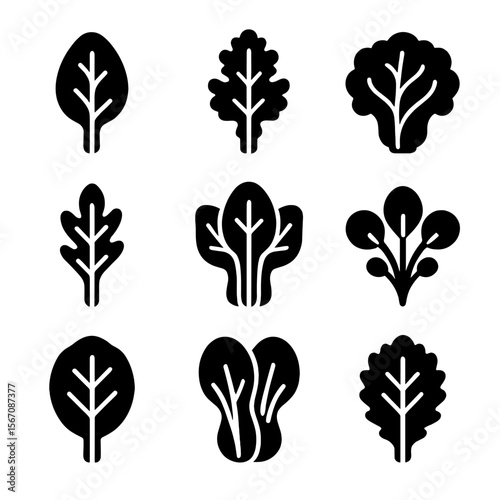 Leafy Greens Icon Grid. Solid, filled icon set of leafy greens: spinach, kale, lettuce, arugula, Swiss chard, collard greens,