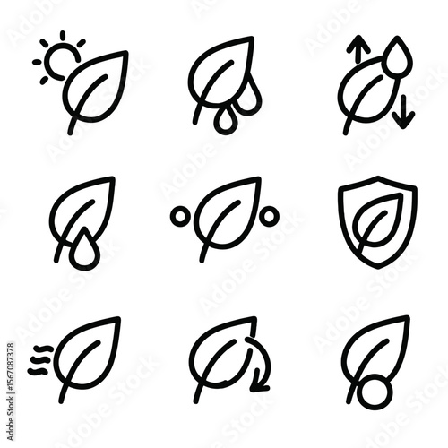 Leaf Functions Icons. Solid, filled icon set of leaf functions: photosynthesis, transpiration, gas exchange, water transport,