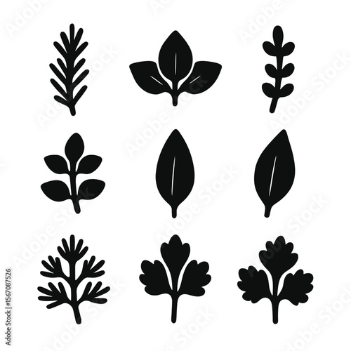 Herb Icon Grid. Solid, filled icon set of aromatic herbs and spices: rosemary sprig, basil leaf, thyme twig, oregano, sage leaf,