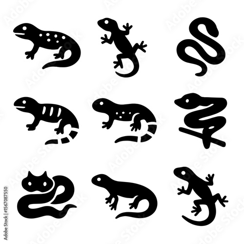 Nocturnal Reptile Icons. Solid, filled icon set of nocturnal reptile species: leopard gecko, tokay gecko, night snake, banded
