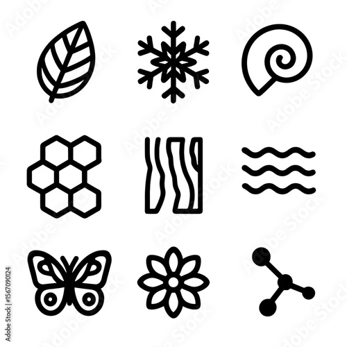 Nature Icon Collection. Solid, filled icon set of natural pattern inspirations: leaf veins, snowflake, shell spiral, honeycomb,