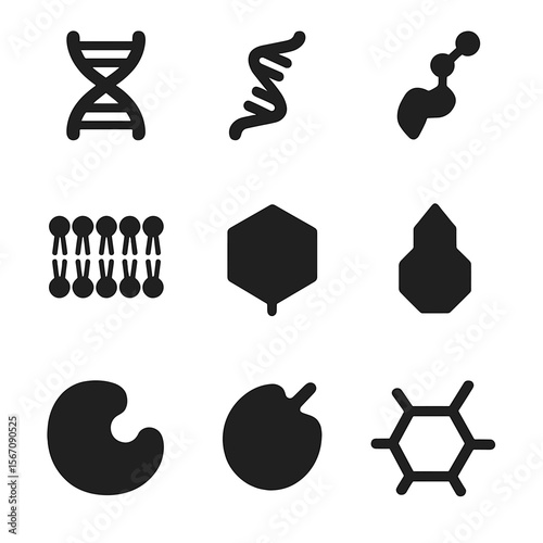 Macromolecules Icon Grid. Solid, filled icon set of biological macromolecules: DNA strand, RNA strand, polypeptide chain, protein