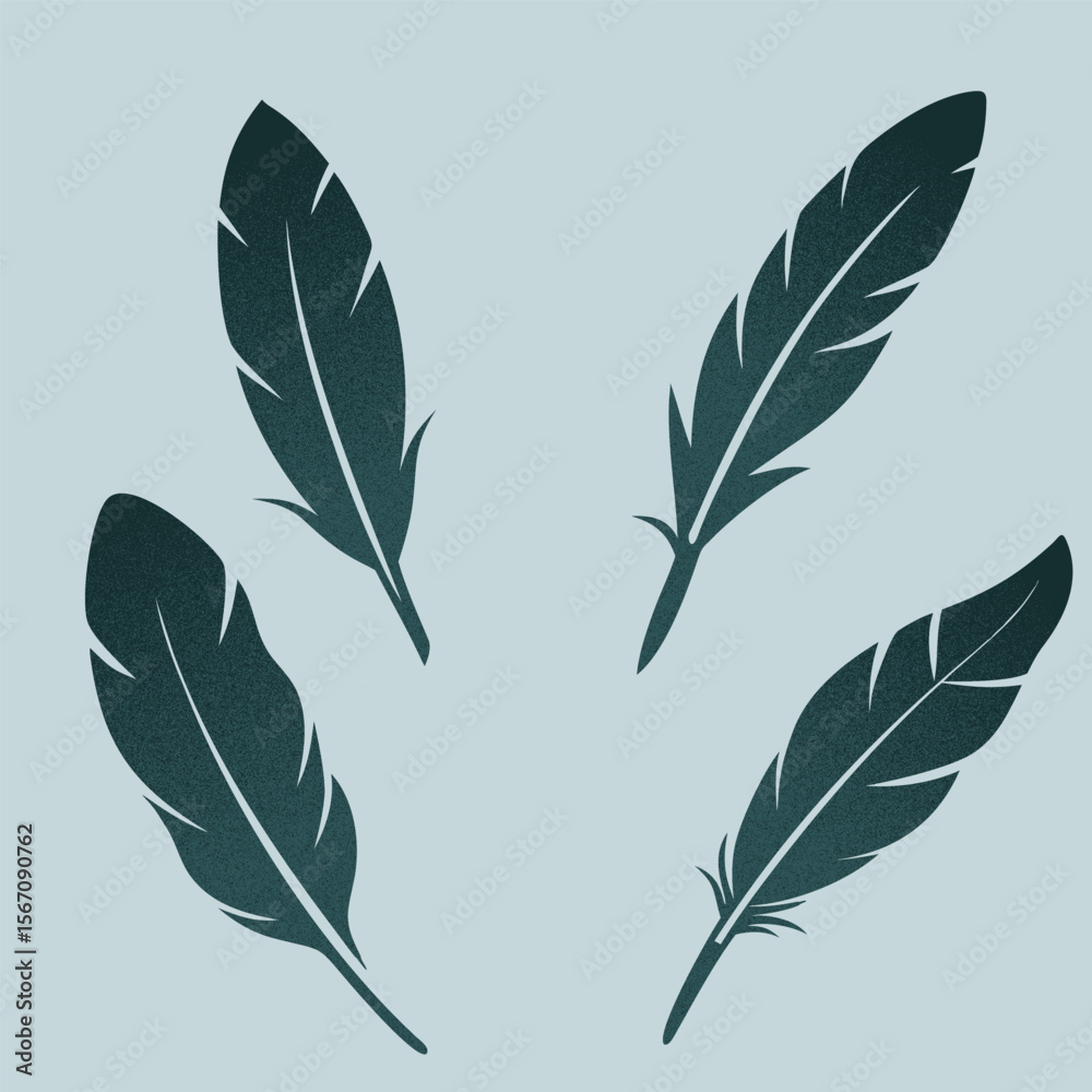 Obraz premium Silhouette of a feather collection