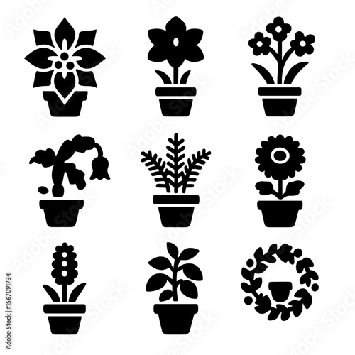 Seasonal Plant Icons. Solid, filled icon set of seasonal indoor plants: poinsettia, amaryllis, paperwhite, winter cactus, holiday