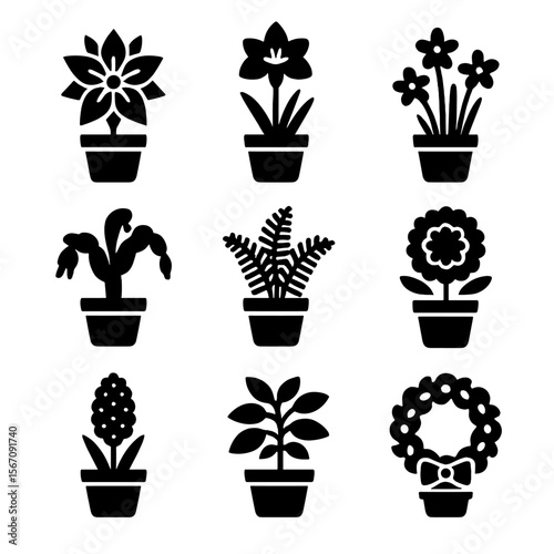 Seasonal Plant Icons. Solid, filled icon set of seasonal indoor plants: poinsettia, amaryllis, paperwhite, winter cactus, holiday