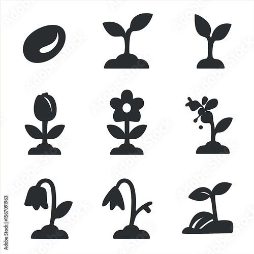 Plant Growth Icons. Solid, filled icon set of plant growth stages: seed, sprout, sapling, bud, blooming flower, pollinated flower,