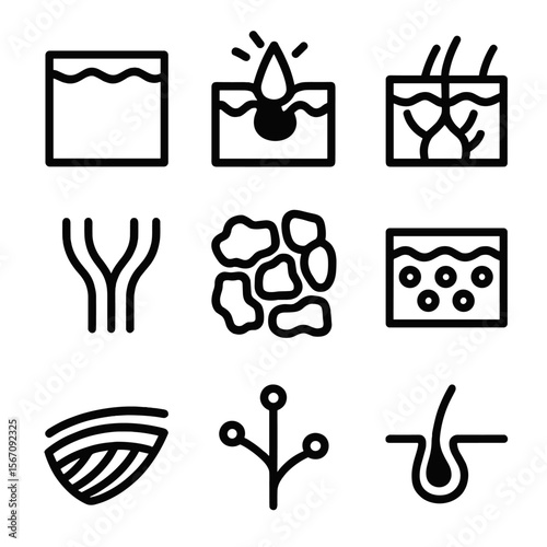 Skin Anatomy Icons. Solid, filled icon set of skin anatomy related to bruising: epidermis, dermis, blood vessels, capillaries,