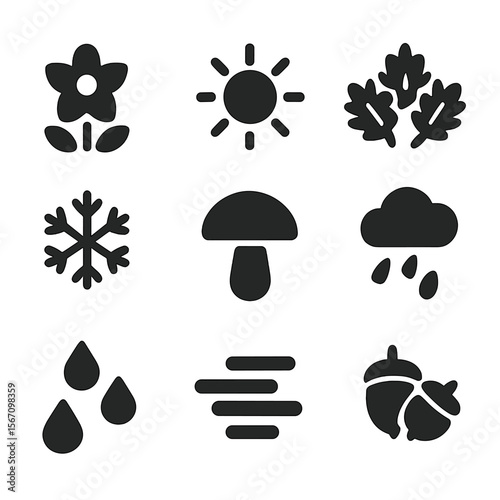 Seasonal Foraging Icon Set. Solid, filled icon set of seasonal foraging signs: spring bloom, summer heat, autumn leaves, winter