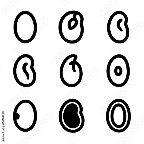 Seed Anatomy Icons. Solid, filled icon set of Seed anatomy: seed coat, embryo, cotyledon, radicle, plumule, micropyle, hilum,