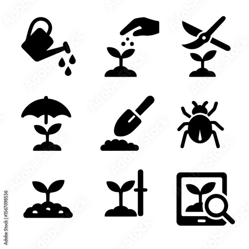 Seedling Care Icons. Solid, filled icon set of Seedling care: watering, fertilizing, pruning, shading, transplanting, pest control