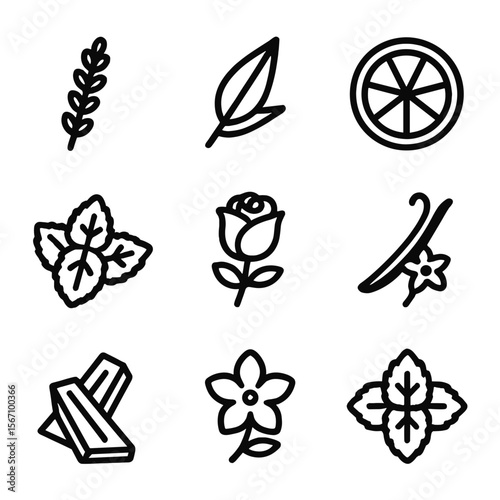 Summer Scent Icons. Solid, filled icon set of summer scents and aromas: lavender sprig, eucalyptus leaf, mint leaves, citrus slice