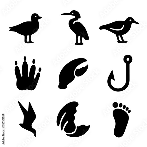 Tidal Pool Icon Grid. Solid, filled icon set of tidal pool birdlife and predators: seagull, heron, oyster catcher, raccoon paw