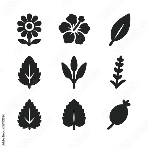 Traditional Herbal Tea Icons. Solid, filled icon set of traditional herbal teas: chamomile flower, hibiscus bloom, rooibos leaf,