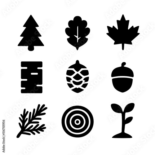 Tree Species Icons. Solid, filled icon set of tree species identification: pine tree, oak leaf, maple leaf, birch bark, fir cone,