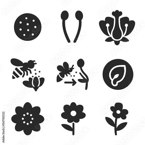 Pollination Process Icons. Solid, filled icons set of pollination process: pollen grain, stamen, pistil,