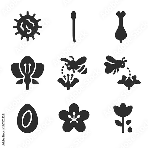 Pollination Process Icons. Solid, filled icons set of pollination process: pollen grain, stamen, pistil,