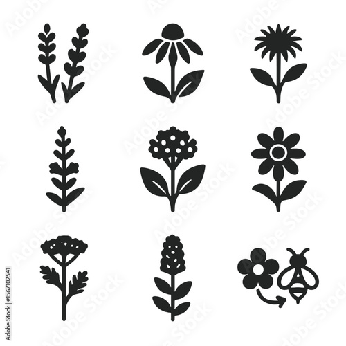 Pollinator Plant Icons. Solid, filled icons set of pollinator-friendly plants: lavender, echinacea, bee balm,