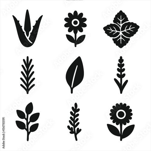 Wellness Plant Icons. Solid, filled icon set of wellness plants: aloe vera, chamomile, mint leaves, rosemary sprig, sage leaf,