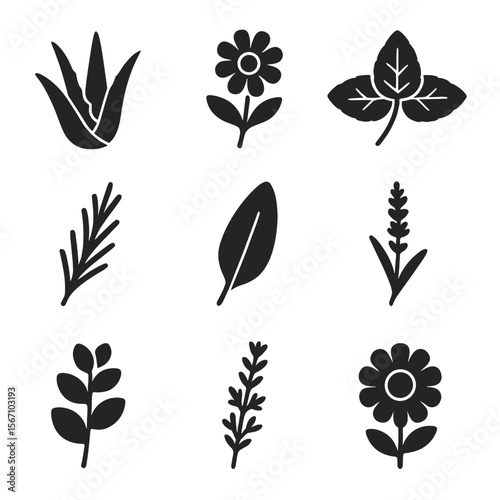 Wellness Plant Icons. Solid, filled icon set of wellness plants: aloe vera, chamomile, mint leaves, rosemary sprig, sage leaf,