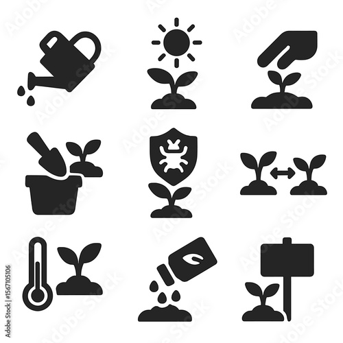 Seedling Care Icons. Solid, filled icons set of seedling care stages: sprout watering, light adjustment, soil