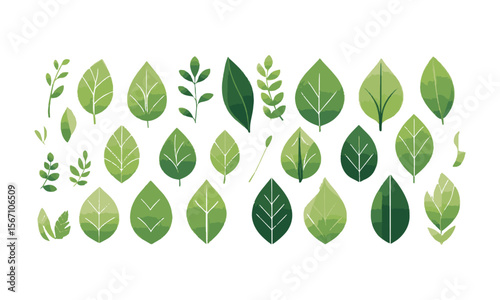 Modern vector illustration featuring a grid of various green leaf icons, Set of green leaf icons. Leaves of trees and plants, Elements design for natural, eco, bio, vegan labels, easily editable