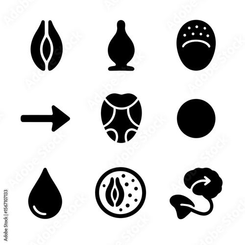 Taste Bud Icon Grid. Solid, filled icons set of taste bud anatomy: taste pore, gustatory cell, papilla icon,
