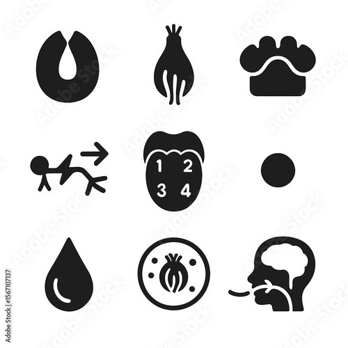 Taste Bud Icon Grid. Solid, filled icons set of taste bud anatomy: taste pore, gustatory cell, papilla icon,