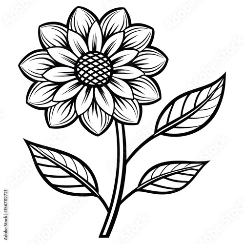 Black and white flower with leaves bloom petals