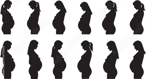 vector illustration of pregnant women