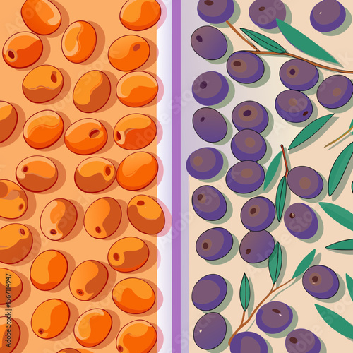 Green-vs-black-olives comparison showing both olive colors, their fresh appearance, and vivid comparison. Fresh green-vs-black-olives comparison highlights differences between olive varieties,