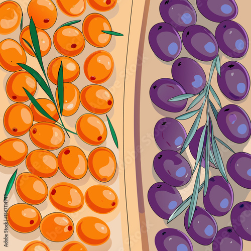 Visual green-vs-black-olives-comparison showcasing two varieties of fresh olives. Green-vs-black-olives-comparison highlighting color contrast and fruit texture,