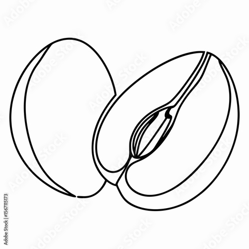Open olive with pit line drawing of healthy fruit. Open olive with pit illustration, showing core details in black and white. Fresh open olive with pit,