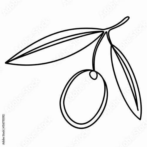 Single olive fruit with foliage in simple outline style, single olive fruit on branch and leaves. Decorative single olive fruit in thin line style makes inviting botanical illustration.