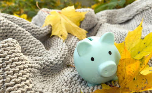 Piggy bank sitting on a fall leaf background, savings
