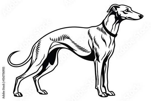 Elegant Greyhound Illustration of a Graceful Canine with Sleek Lines Depicting a Distinguished Dog Breed in Striking Black and White