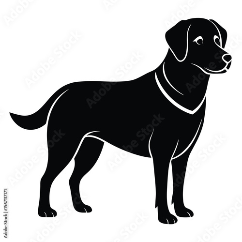 Sleek Black Labrador Retriever Silhouette A Symbol of Loyalty and Canine Companionship Displaying the Breed's Strong Stance and Smooth Lines