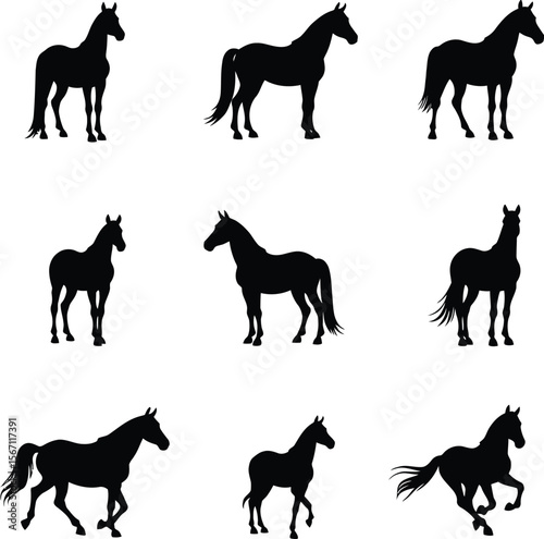 Collection of horse silhouettes various poses sizes