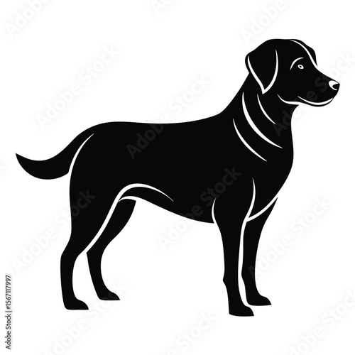 Elegant Silhouette of a Labrador Retriever Graceful Canine Portrait with Strong Lines and Smooth Curves a Timeless Depiction