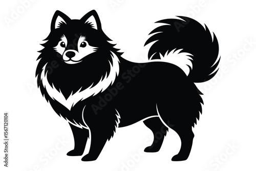 Majestic Black and White Spitz Dog Illustration A Timeless Depiction of Canine Elegance and Breed Specific Characteristics