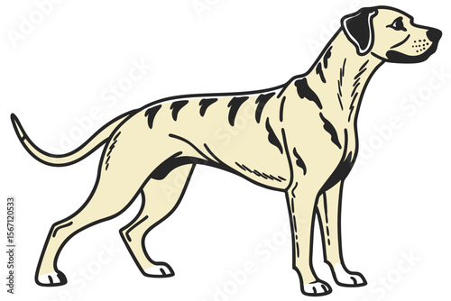 Elegant Great Dane with Spotted Markings Standing Tall A Majestic Canine Illustration and Representation of the Breed's Graceful Stature
