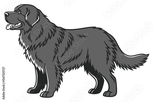Majestic Newfoundland Dog Illustration Standing Profile a Large Working Dog Breed From Canada With Thick Fur