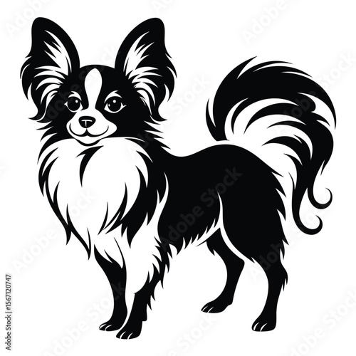 Elegant Black and White Illustration of a Long Haired Chihuahua Dog Standing Gracefully with a Fluffy Tail and Alert Expression