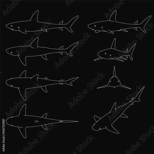 Six black and white sharks are outlined in stark white against a dark background, creating a striking contrast. The minimalist design features clean lines and a bold monochrome aesthetic.
